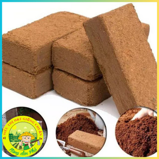 Đất nén hữu cơ dạng viên xơ dừa 500g đã xử lý