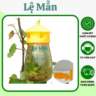 Lồng bẫy ruồi vàng - Dụng cụ bẫy ruồi vàng kèm thuốc.