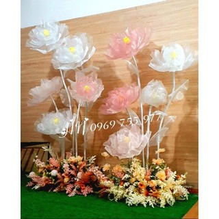 Set nguyên liệu làm 1 cành hoa voan khổng lồ
