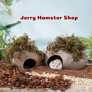 Tổ gốm đá cho hamster và thú cưng nhỏ