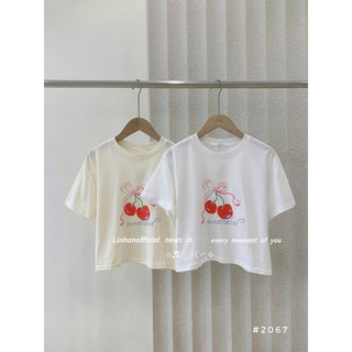 /𝙇𝙞𝙣𝙝𝙖𝙣𝙤𝙛𝙛𝙞𝙘𝙞𝙖𝙡/ ÁO PULL NƠ CHERRY STYLEKOREAN 2067🇰🇷