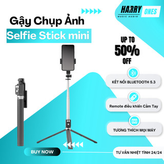 Gậy Chụp ẢNH selfie Bluetooth A12S cầm tay Tíc Hợp Gậy livestream kèm led trợ sáng cao cấp - HARRY.ONES