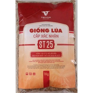 Thóc giống st25 1kg gạo ngon nhất thế giới _ bao bì mới
