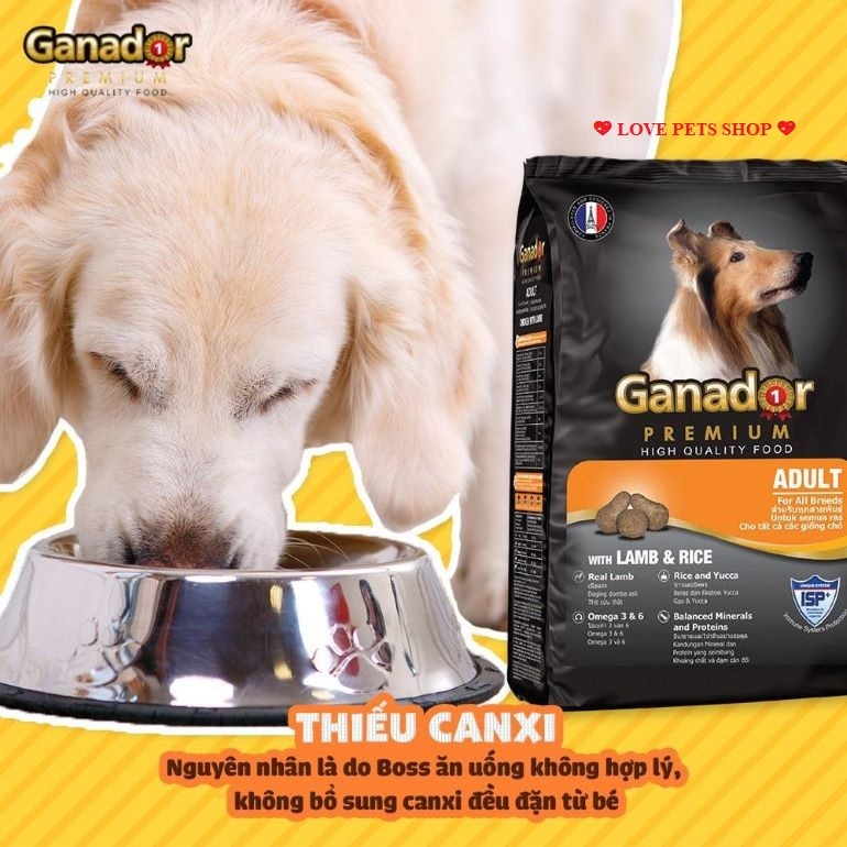 Thức ăn hạt cho Chó thương hiệu Ganador bịch 1.5kg và 3kg - Love Pets Shop