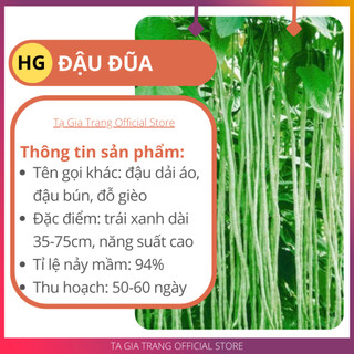 .Hạt giống Đậu đũa xanh, quả dài, sinh trưởng khỏe mạnh