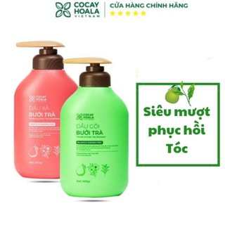 Dầu gội thảo dược cỏ cây hoa lá bưởi trà kích mọc tóc, phục hồi hư tổn 500gr