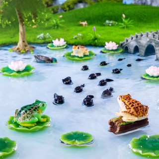 Tiểu cảnh ếch, lá sen trang trí hồ cá, bể cá, chậu cây, tiểu cảnh terrarium