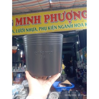 Chậu nhựa đen C9 vừa (500 cái)