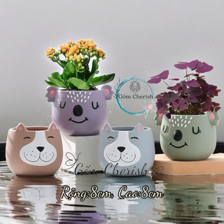 Chậu Trồng cây cảnh, sen đá, xương rồng. chất liệu đất nung