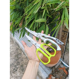 Kéo cắt xương gà đức chính hãng