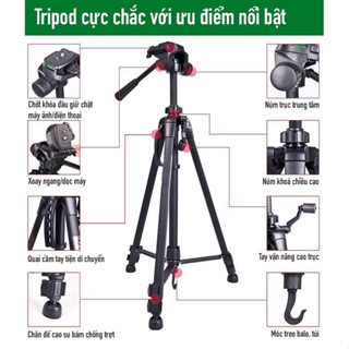 Tripod Điện Thoại Kiêm Chân Máy Ảnh,3520, 360 Độ 3 Chân Đa Năng, Điều Chỉnh Cao Thấp, Thiết Kế Chắc Chắn Cao 140cm-170cm