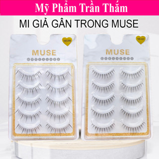 Lông mi giả gân trong, Mi Gân Trong MUSE Cao Cấp