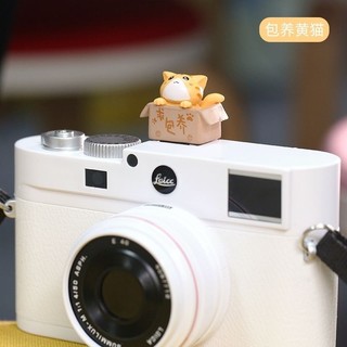 Hotshoe Hoạt Hình Cài Chân Flash Máy Ảnh - Cài Máy Ảnh Hình Cute