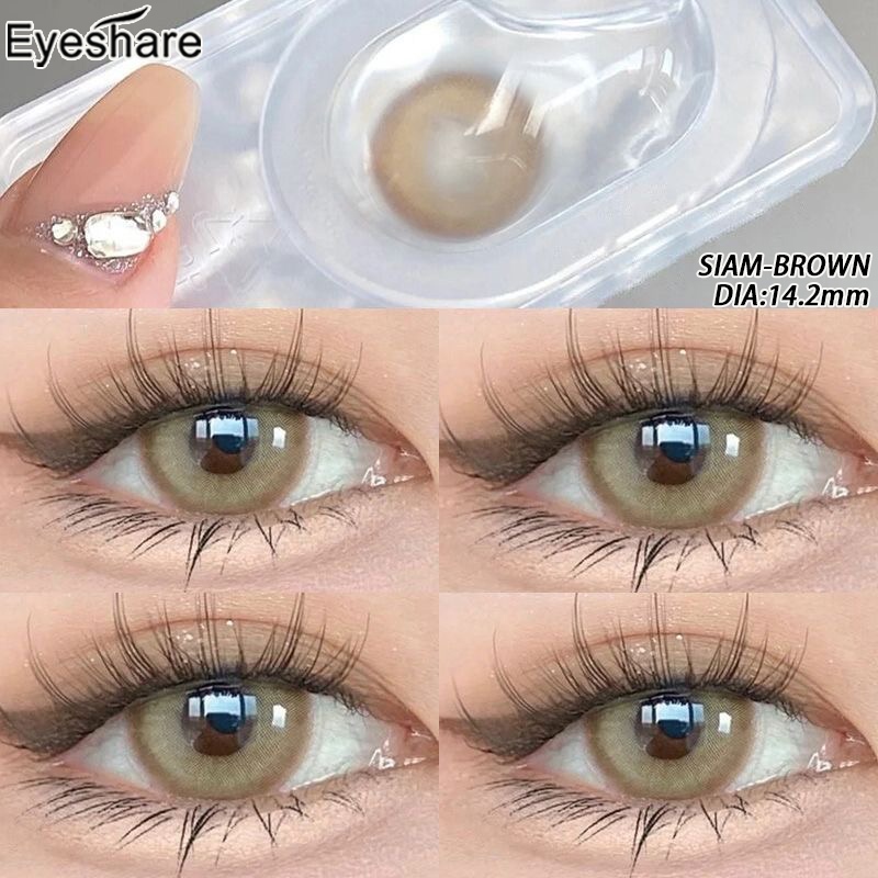 1 cặp 2 cái contact lens nâu kính áp tròng SIAM Brown kích cỡ 14.2mm tặng kèm khay lens mắt