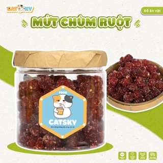 Mứt chùm ruột sấy dẻo muối ớt CATSKY FOOD đồ ăn vặt HỘP 250G