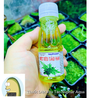 Thuốc diệt rêu hại tảo nâu , tảo bẩn cho hồ cá cảnh thuỷ sinh : Nuphar aqua