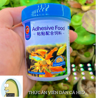 Thức ăn viên dán kính bể cá cảnh ( hộp 50 gram )