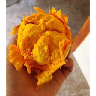 CÂY GIỐNG LEKIMA ( CÂY TRỨNG GÀ)