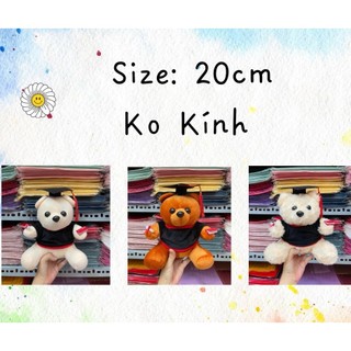 Gấu bông tốt nghiệp lông mịn size 20cm