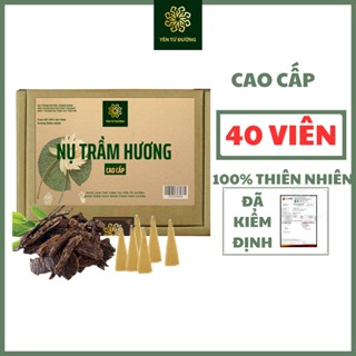 Nụ trầm hương YÊN TỪ ĐƯỜNG 40 nụ thơm phòng dùng cho lư và thác khói