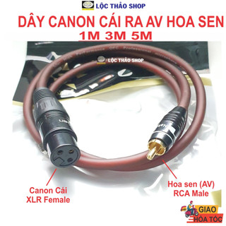 Dây canon cái ra av hoa sen dài 1m 3m 5m - dây canon av - dây canon ra hoa sen - rca male to xlr female
