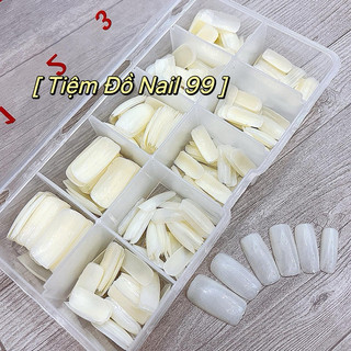Móng úp chân phom dài hộp 500 móng đủ size