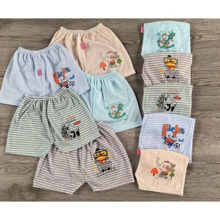 Combo 10 cái quần chục đùi kẻ cotton mỏng cho bé từ 4-14kg