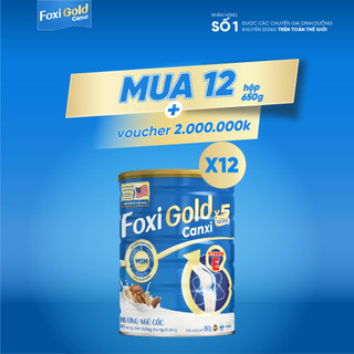 Combo 12 Hộp Foxi Gold 650g/lon dành cho người bị xương khớp, sữa hạt thuần chay thơm mát dễ uống