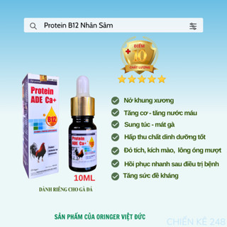 Protein B12 nhân sâm 10ml Oringer, Nuôi gà đá, chim cảnh, Nở khung, tăng cơ, sung túc, mát gà, hừng nước máu, lông mượt