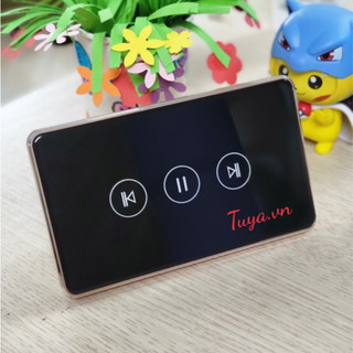 Công Tắc Điều Khiển Cửa Cuốn Đảo Chiều Động Cơ Wifi Tuya CS1