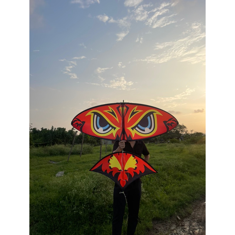 Diều sáo 1m7 cacbon giá rẻ