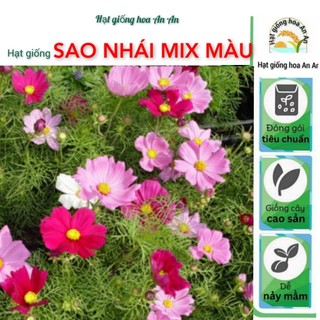 [ TOP BÁN CHẠY ] Gói 8000 hạt hoa sao nhái mix màu- 100 gram.