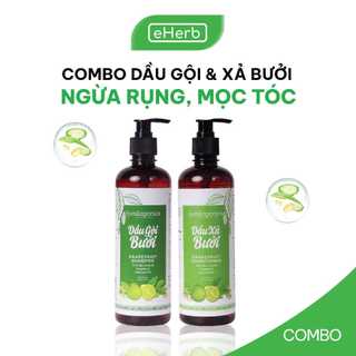 Combo Dầu Gội & Dầu Xả Bưởi Ngừa Rụng & Kích Thích Mọc Tóc Từ Tinh Dầu Bưởi MILAGANICS (500ml/ Chai)