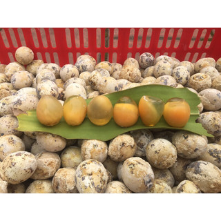 Bột làm trứng Bắc thảo  .5kg