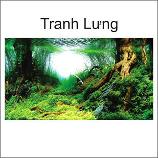 Tranh Decal dán Hồ Cá 3D Mẫu Mới ( Tranh Lưng )_TS 35