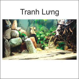 Tranh Decal dán Hồ Cá 3D Mẫu Mới ( Tranh Lưng )