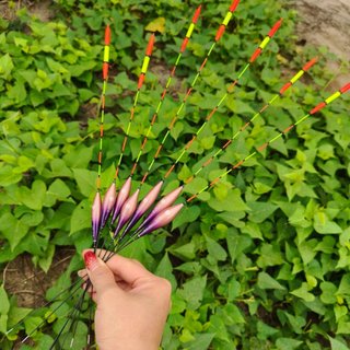 Phao câu đài phao câu cá phao tiểu phượng hoàng TNF tăm to