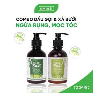 Combo dầu gội & dầu xả bưởi ngừa rụng & kích thích mọc tóc từ tinh dầu bưởi milaganics
