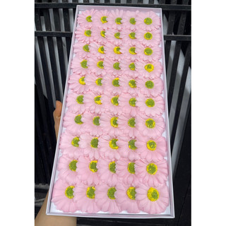 Hoa Cúc Hoạ Mi Sáp ( hộp 50 bông )