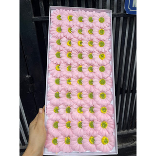 Hoa Cúc Hoạ Mi Sáp ( hộp 50 bông )