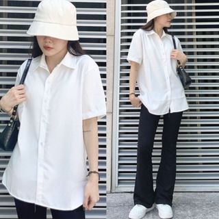Áo sơ mi trắng bigsize nữ tay ngắn đi học đi làm công sở vải cotton 60-95kg - SMHS
