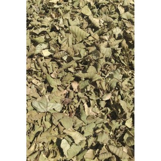 1kg lá Ổi khô hàng nguyên lá sạch sẽ.phơi khô