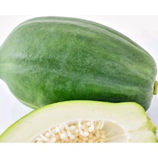 Trái Đu Đủ xanh 2kg( Quả già nhà vườn tự trồng) khách đặt mới hái
