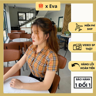 Áo sơ mi nữ cộc kẻ bbr, áo cộc kẻ bbr