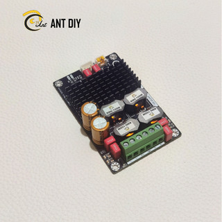 Ant diy - mạch khuếch đại công suất class d stereo tpa3156 70w x2/ tpa3116 50w x2/ tpa3118 30w x2