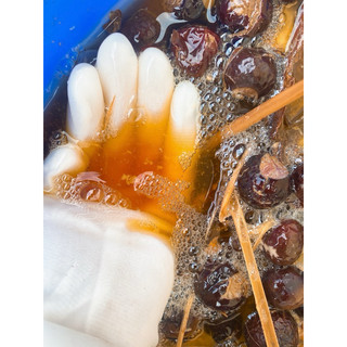 Enzyme Bồ hòn chai 1 lít Nước rửa chén bát Bồ hòn, giặt quần áo thiên nhiên, an toàn