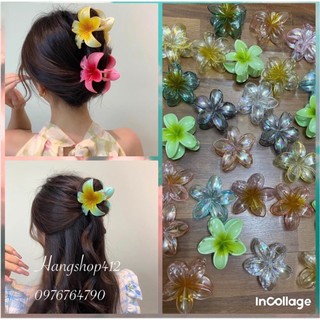 Kẹp tóc , Kẹp tóc hoa sứ , Kẹp tóc hoa , Hoa , Kẹp tóc hoa sứ trong suốt , kiểu dáng Hàn Quốc )