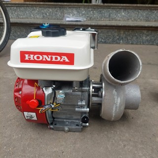 Máy bơm nước chạy xăng Honda7.5hp đầu bơm 76 và 90 đáp ứng nhu cầu tưới tiêu tặng núp bê