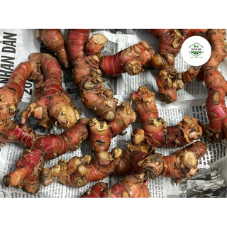 1KG RIỀNG ĐỎ