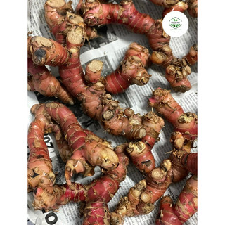 1kg riềng đỏ